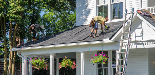 Best Roof Ventilation Installation  in Carroll, IA